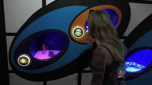 You take Paris to the Aquarium and get her off in the car.