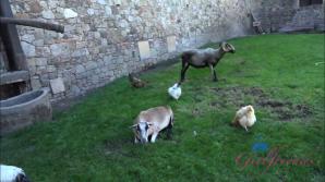 Serena Hill Norcal 2 Part 7